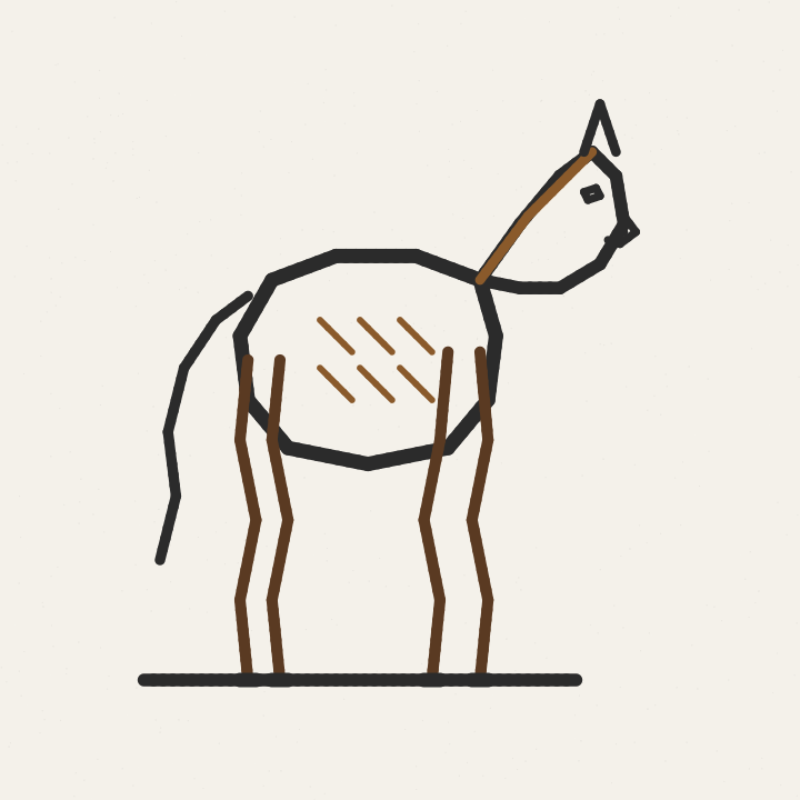 馬の絵を描いて